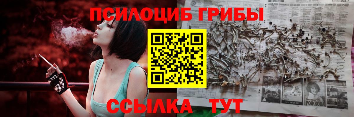 Галлюциногенные грибы ЛСД Михайловка